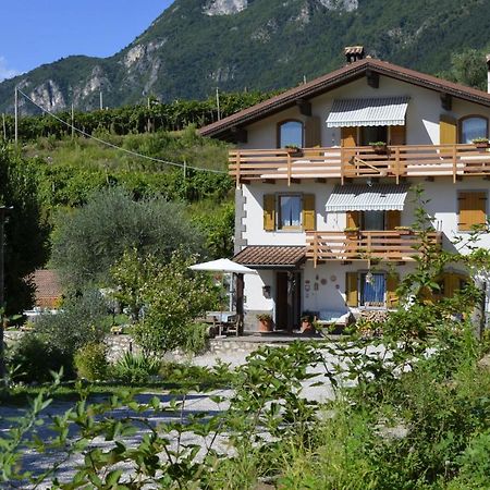 Bed and Breakfast Ca Ulivi Ala Exterior foto