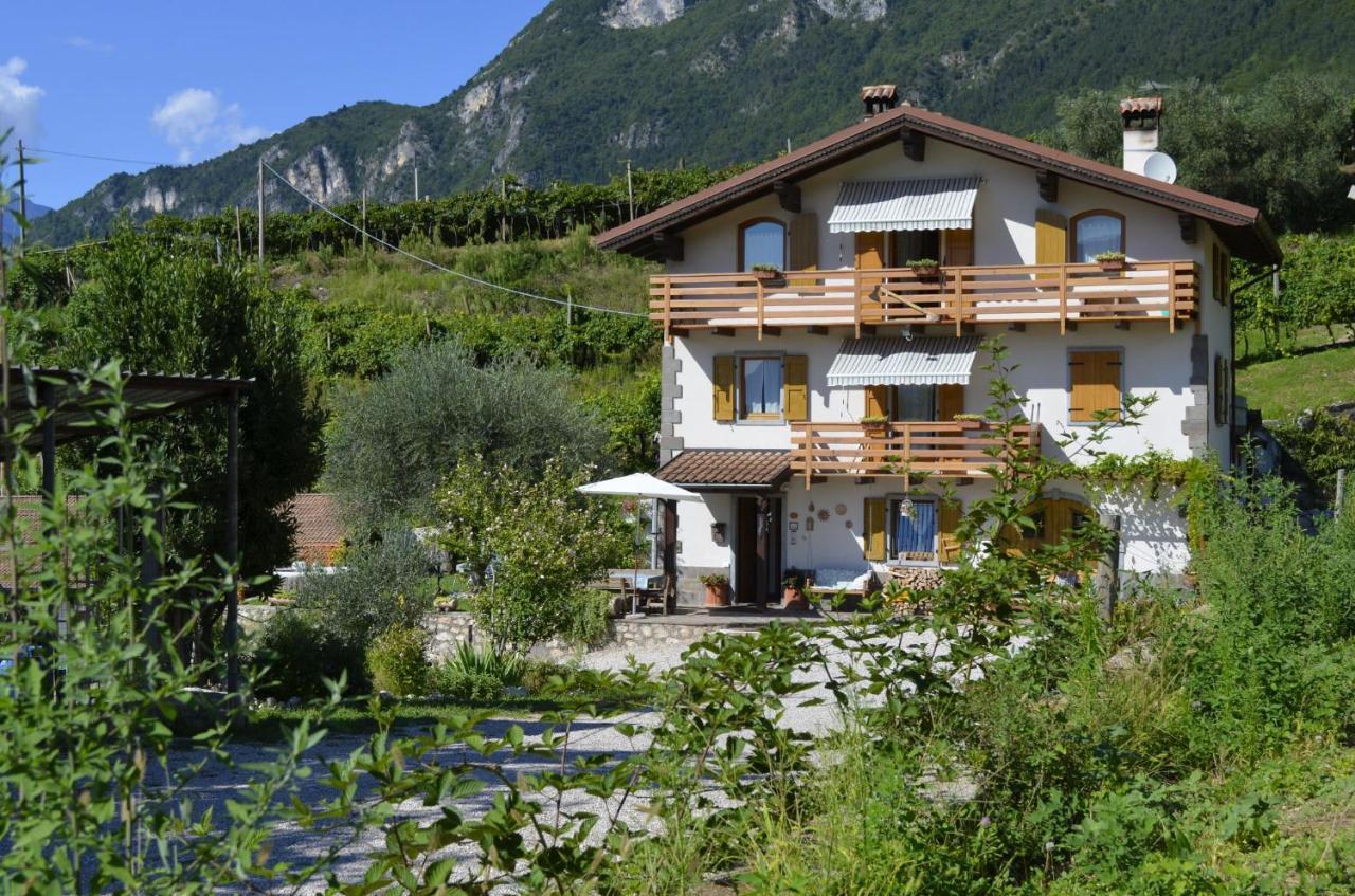 Bed and Breakfast Ca Ulivi Ala Exterior foto
