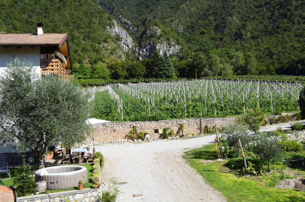 Bed and Breakfast Ca Ulivi Ala Exterior foto