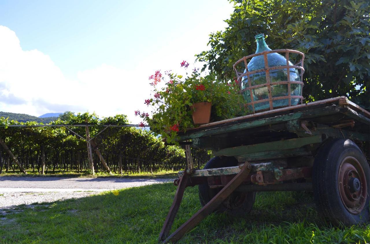 Bed and Breakfast Ca Ulivi Ala Exterior foto