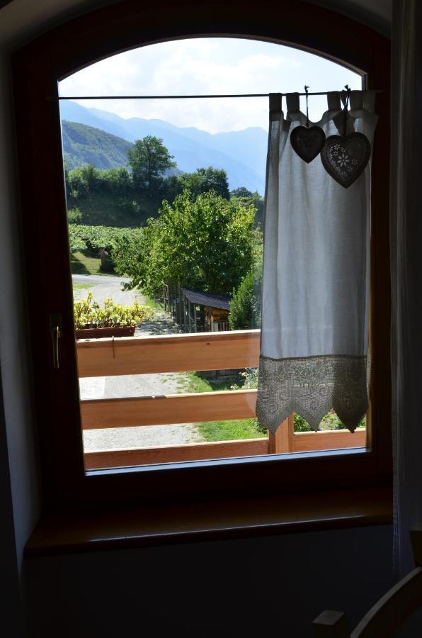Bed and Breakfast Ca Ulivi Ala Exterior foto