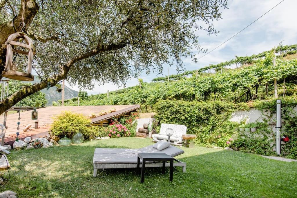 Bed and Breakfast Ca Ulivi Ala Exterior foto